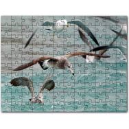 Cakapuzzle Martılar ve Dalgalı Deniz Arkaplan Mdf 255 Parça Puzzle