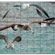 Cakapuzzle Martılar ve Dalgalı Deniz Arkaplan Mdf 500 Parça Puzzle