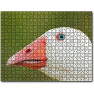 Cakapuzzle Mavi Gözlü Kaz Yakın Plan 255 Parça Puzzle