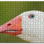 Cakapuzzle Mavi Gözlü Kaz Yakın Plan Mdf 120 Parça Puzzle