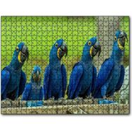 Cakapuzzle Mavi Macaw Papağanları 255 Parça Puzzle