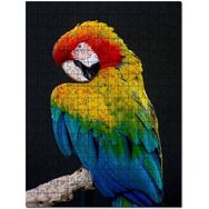 Cakapuzzle Mavi Sarı Kırmızı Macaw Siyah Arkaplan Mdf 255 Parça Puzzle