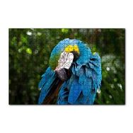 Cakapuzzle Mavi Tüylü Papağan 120 Parça Puzzle