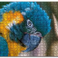 Cakapuzzle Mavi ve Sarı Macaw Papağanı Yakın Plan Mdf 120 Parça Puzzle