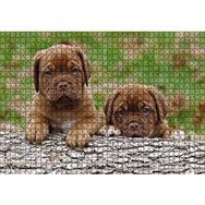 Cakapuzzle Meksika Yavru Köpekler Görseli Ahşap 1000 Parça Puzzle