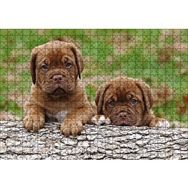 Cakapuzzle Meksika Yavru Köpekler Görseli Ahşap 500 Parça Puzzle