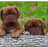 Cakapuzzle Meksika Yavru Köpekler Görseli Mdf 120 Parça Puzzle
