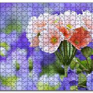 Cakapuzzle Mor Bahçenin Ortasında Güzel Portakal Çiçekleri Mdf 120 Parça Puzzle