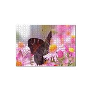 Cakapuzzle Mor Çiçeklerin Üzerindeki Kahverengi Kelebek 255 Parça Puzzle