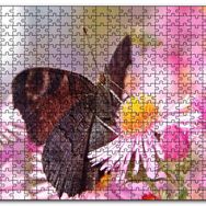 Cakapuzzle Mor Çiçeklerin Üzerindeki Kahverengi Kelebek Mdf 120 Parça Puzzle