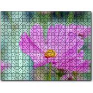 Cakapuzzle Mor Kosmeya Çiçekler Görseli 255 Parça Puzzle