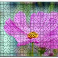 Cakapuzzle Mor Kosmeya Çiçekler Görseli Mdf 120 Parça Puzzle