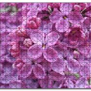 Cakapuzzle Mor Orkideler Görseli Mdf 1000 Parça Puzzle