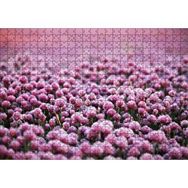 Cakapuzzle Mor Renkli Tomurcuk Çiçekler 500 Parça Puzzle