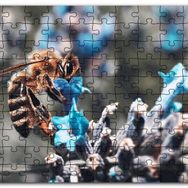 Cakapuzzle Mor Siyah Çiçekten Polen Toplayan Arı Mdf 120 Parça Puzzle