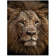 Cakapuzzle Muhteşem Erkek Aslan Yakın Çekim Ahşap 500 Parça Puzzle