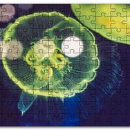Cakapuzzle Muhteşem Güzellikte Mavi Yeşil Denizanası Mdf 1000 Parça Puzzle