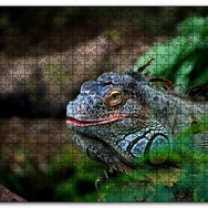 Cakapuzzle Muhteşem Renkleriyle Iguana Mdf 500 Parça Puzzle
