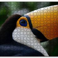 Cakapuzzle Muhteşem Renkleriyle Tukan Kuşu Mdf 120 Parça Puzzle