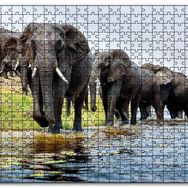 Cakapuzzle Nehir Kenarında Filler Mdf 500 Parça Puzzle