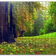 Cakapuzzle Orman ve Çimler Doğa Ahşap 500 Parça Puzzle