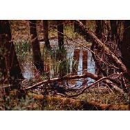 Cakapuzzle Orman ve Su Bir Arada 120 Parça Puzzle