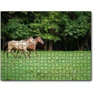 Cakapuzzle Orman Yeşil Çayırlar ve Bir Çift At 255 Parça Puzzle