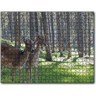 Cakapuzzle Orman Yeşil Çimler ve İki Dişi Geyik Mdf 120 Parça Puzzle