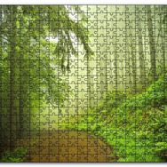 Cakapuzzle Orman Yolu Puslu Mdf 1000 Parça Puzzle