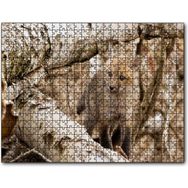 Cakapuzzle Ormanda Ağaçlar Arasındaki Yavru Tilki 255 Parça Puzzle