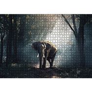 Cakapuzzle Ormanda Fil 1000 Parça Puzzle