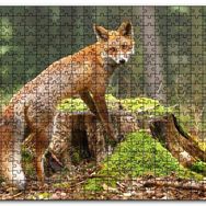 Cakapuzzle Ormanda Kütük Üzerindeki Çelimsiz Tilki Mdf 120 Parça Puzzle