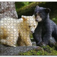 Cakapuzzle Ormanda Sarı ve Siya Ayı Yavruları Görseli Mdf 120 Parça Puzzle