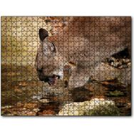 Cakapuzzle Ormandaki Puma Derede Su İçerken Görseli Mdf 120 Parça Puzzle
