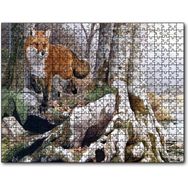 Cakapuzzle Ormandaki Yaşlı Ağaç ve Kahverengi Tilki 255 Parça Puzzle