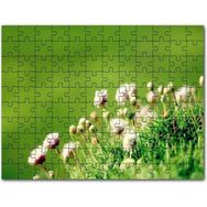 Cakapuzzle Otların Arasında Yeni Açan Çiçekler Mdf 120 Parça Puzzle