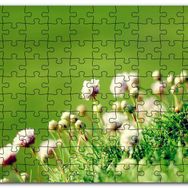 Cakapuzzle Otların Arasında Yeni Açan Çiçekler Mdf 500 Parça Puzzle