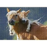 Cakapuzzle Otlayan Kahverengi Beyaz At İle Sırtındaki Tayı Mdf 500 Parça Puzzle