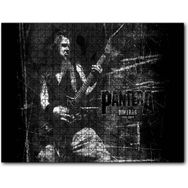 Cakapuzzle Pantera Dimebag Darrell Gitar Çalıyor 255 Parça Puzzle