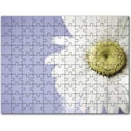 Cakapuzzle Papatya Yakın Çekim Gökyüzü Arkaplan Mdf 1000 Parça Puzzle