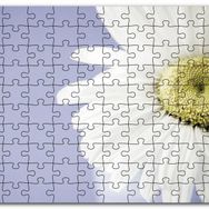Cakapuzzle Papatya Yakın Çekim Gökyüzü Arkaplan Mdf 255 Parça Puzzle