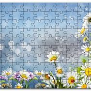 Cakapuzzle Papatyalar Flu Arkaplan Mdf 500 Parça Puzzle