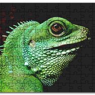 Cakapuzzle Parlak Yeşil Renkleriyle Kertenkele Mdf 1000 Parça Puzzle