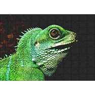 Cakapuzzle Parlak Yeşil Renkleriyle Kertenkele Mdf 120 Parça Puzzle
