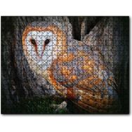 Cakapuzzle Peçeli Baykuş Türü Mdf 120 Parça Puzzle