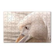 Cakapuzzle Pelikan Yakın Çekim Flu Arkaplan 120 Parça Ahşap Puzzle