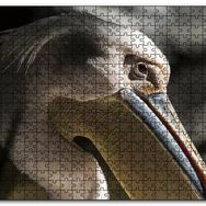 Cakapuzzle Pelikan Yakın Çekim Mdf 500 Parça Puzzle