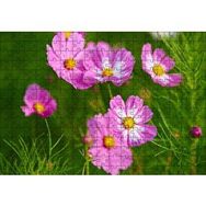 Cakapuzzle Pembe Beyaz Çiçekler 255 Parça Puzzle