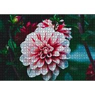 Cakapuzzle Pembe Beyaz Yıldız Çiçeği 1000 Parça Puzzle