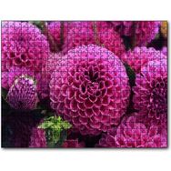 Cakapuzzle Pembe Dahlia Çiçekleri 120 Parça Puzzle